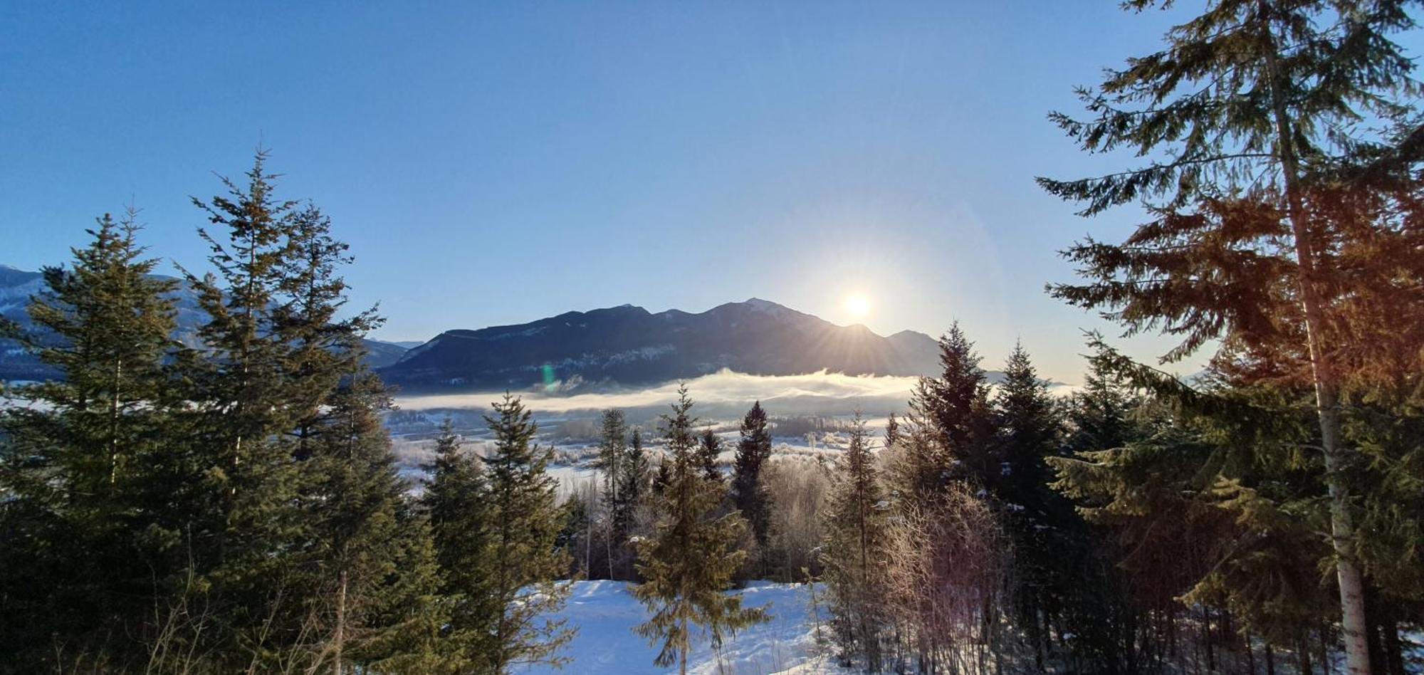 Alpine Meadows Lodge Голден Екстер'єр фото