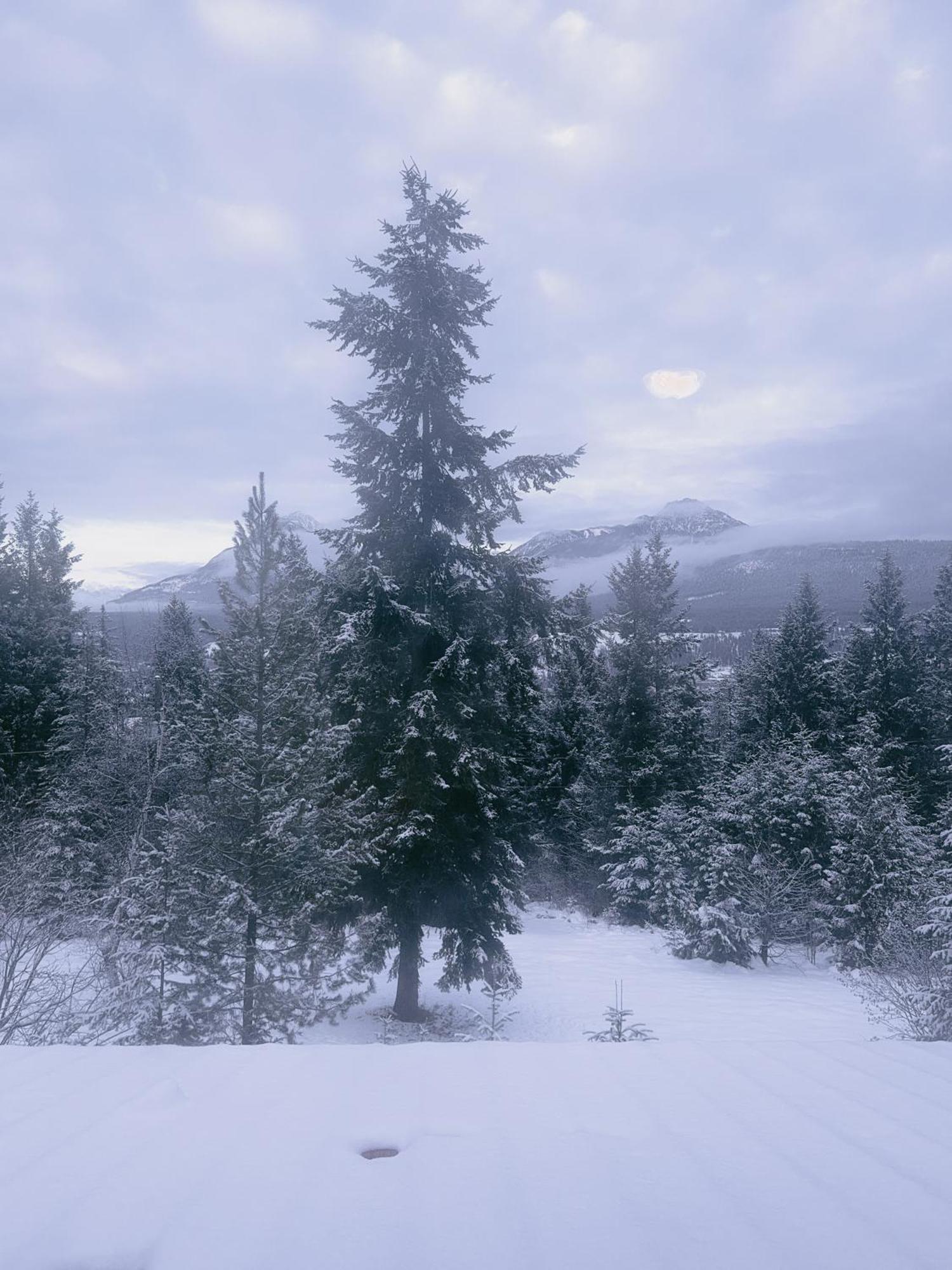 Alpine Meadows Lodge Голден Екстер'єр фото